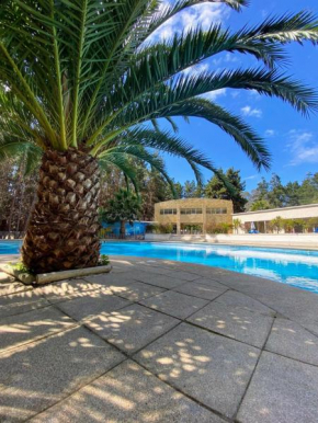 Condominio Alto Las Cruces en el Bosque y junto al Mar